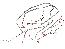 74-82 BRAKE LINE SET (STAINLESS STEEL)