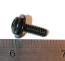 63-67 GLOVE BOX HINGE SPRING SCREW AND WASHER SET