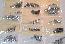 [ 64 INTERIOR FASTENER SCEW SET ST ]