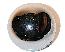 64-68 SHIFTER KNOB