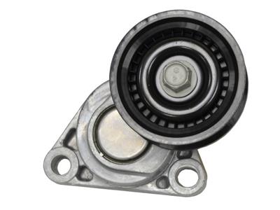 Serpentine Belt & Related C6