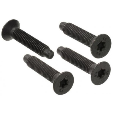 97-04 DOOR LATCH STRIKER SCREW SET (4 PCS)