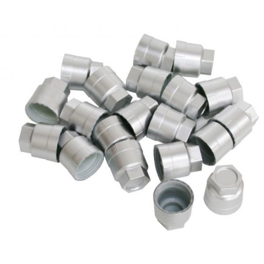 97-99 LUG NUT CAP SET (SILVER/GRAY)