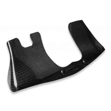 09-13 HOLLEY INTECH CARBON FIBER COVER (FITS LS9)