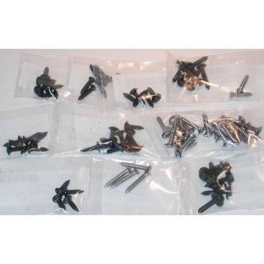 77 INTERIOR FASTENER SCREW KIT