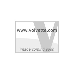 97-04 LICENSE PLATE MOUNT SCREW SET (4 PCS)