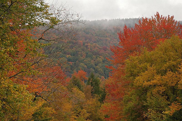 Vermont Route 100 by Shiran Pasternak on Flickr